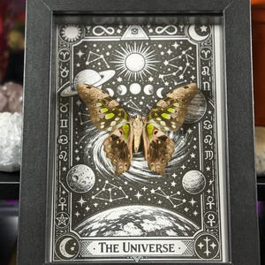 May include: A framed artwork featuring a butterfly specimen set against a black and white illustration of the universe. The butterfly has brown and green wings. The artwork is in a black frame and includes the text "THE UNIVERSE."