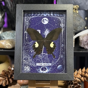 May include: A framed artwork featuring a black butterfly with yellow markings, set against a blue background with celestial illustrations. The artwork is labeled "THE MOON" and is displayed in a black frame, evoking a mystical theme.