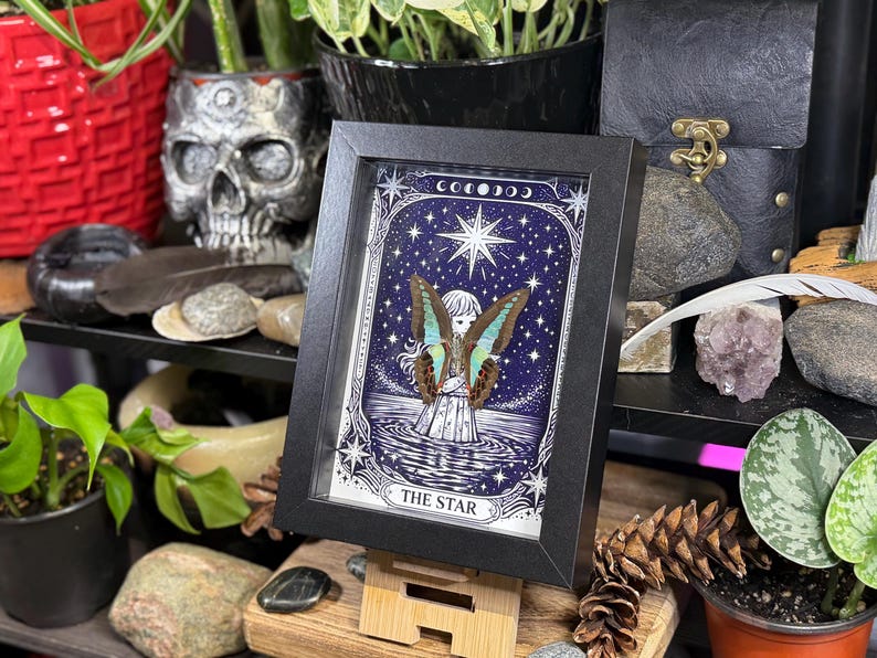 Op de afbeelding: Een ingelijst kunstwerk met een hemels ontwerp, met een figuur met vlindervleugels tegen een donkerblauwe sterrenachtergrond. De woorden "THE STAR" staan onderaan. De lijst is zwart en het kunstwerk staat op een houten standaard.