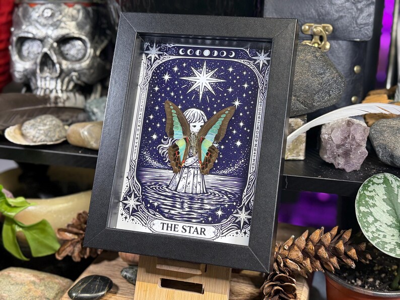 Op de afbeelding: Een ingelijst kunstwerk met een vlinder met blauwe en bruine vleugels tegen een sterrenhemel. Het kunstwerk is getiteld "THE STAR" en maakt deel uit van een tarotkaartthema. Het zwarte frame wordt gepresenteerd op een houten standaard.