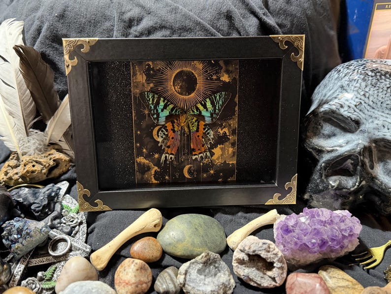 Framed Madagascan Sunset Moth, Iridescent Specimen Art, Black, Midnight & Sapphire Editions Midnight Edition 001