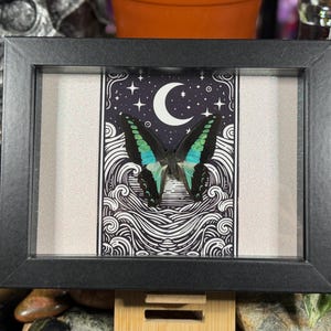 May include: A framed butterfly art piece. The black frame surrounds a central image of a butterfly with teal and black wings, set against a backdrop of a crescent moon and stars. The artwork features a black and white wave design.