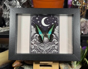 Framed Butterfly Blue Bottleneck The Moon Themed Custom Tarot Wall Art - Graphium Sarpedon