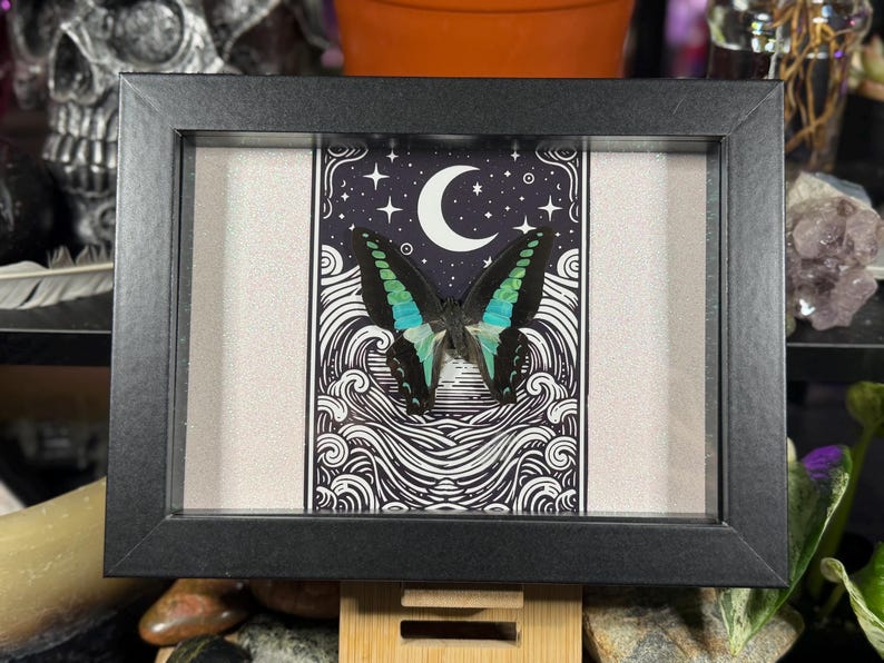 May include: A framed butterfly art piece. The black frame surrounds a central image of a butterfly with teal and black wings, set against a backdrop of a crescent moon and stars. The artwork features a black and white wave design.