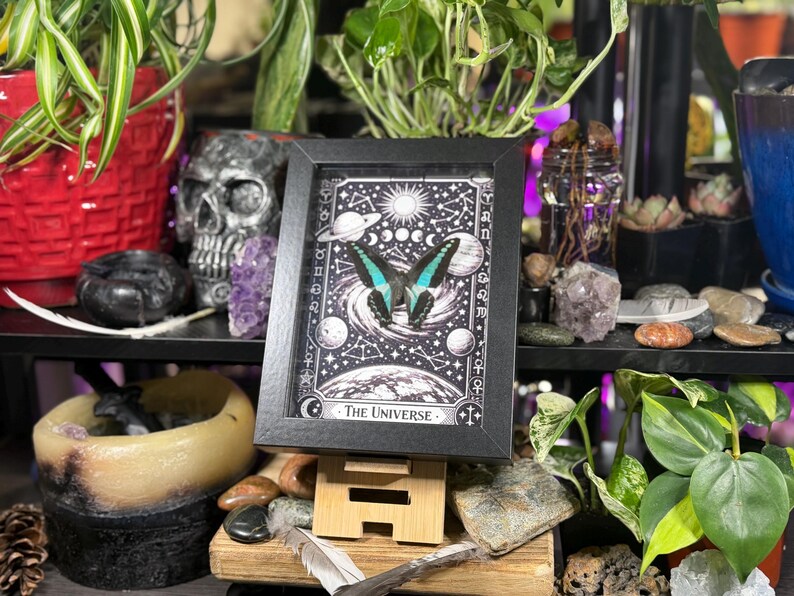 Op de afbeelding: Een ingelijste zwart-wit print van een vlinder met turquoise vleugels, tegen een hemelse achtergrond. De print heeft de titel "The Universe". De afbeelding wordt weergegeven op een houten ezel, omringd door planten en decoratieve items.