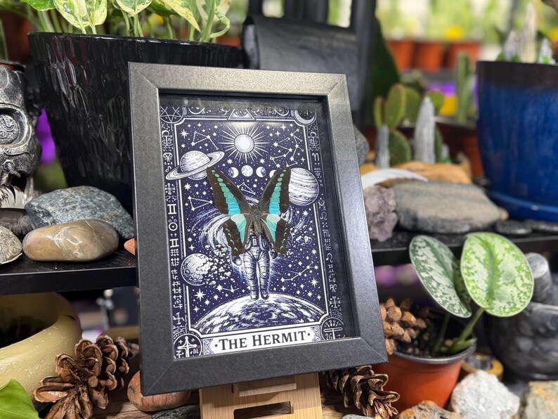 Blue Bottleneck “The Hermit Celestial Wanderer” Framed Specimen Art | Graphium sarpedon Tarot Decor bild 2