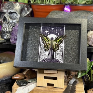 May include: A black framed display featuring a butterfly with yellow and black markings, set against a black and white illustration of a tower and celestial elements. The frame rests on a wooden stand.