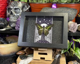 May include: A framed display featuring a butterfly with yellow and black markings, set against a black and white illustration of a tower and celestial elements. The frame is black and rests on a wooden stand.