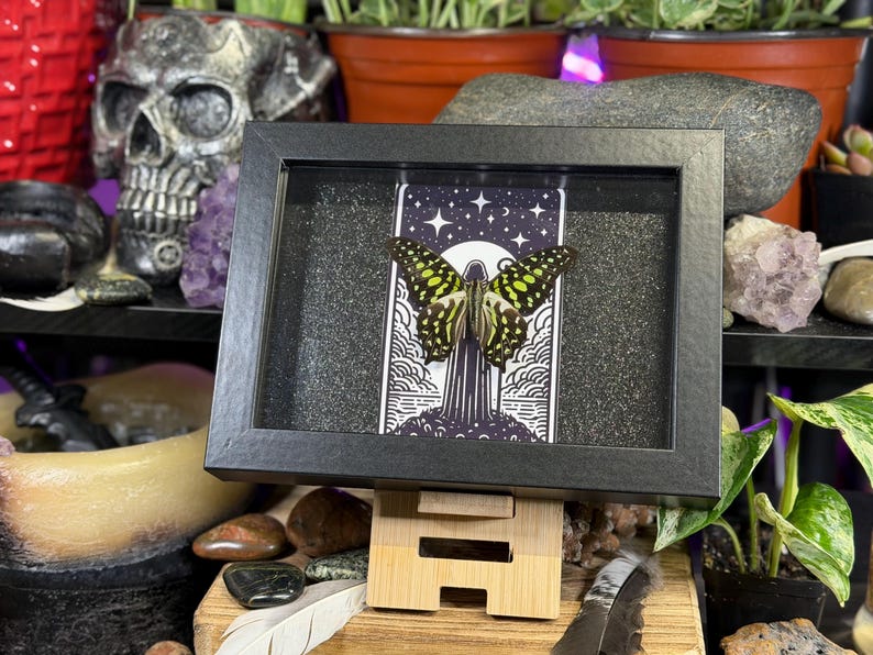 May include: A black framed display featuring a butterfly with yellow and black markings, set against a black and white illustration of a tower and celestial elements. The frame rests on a wooden stand.