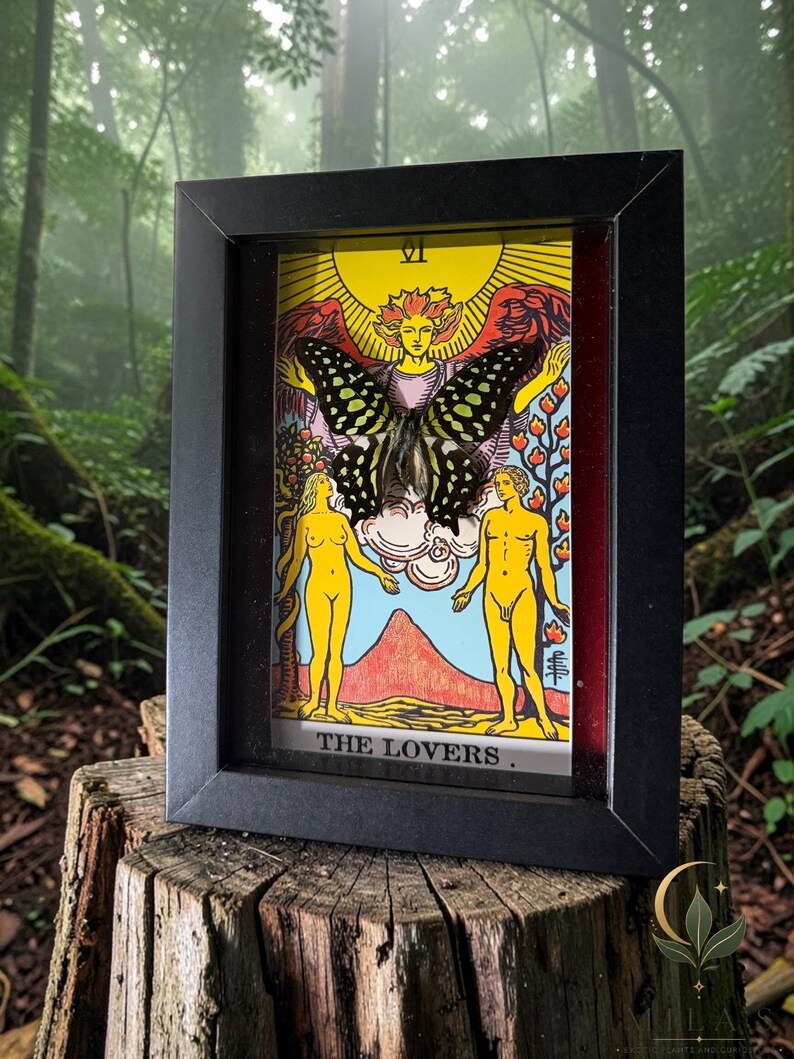 May include: A black rectangular shadow box frame containing a tarot card titled THE LOVERS. The card features a yellow sun, a central figure, and two standing figures. A dark butterfly with light green spots is mounted over the centre of the card.