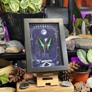 Puede incluir: Una impresi&oacute;n enmarcada con una mariposa de alas turquesas y negras, sobre un fondo azul oscuro con ilustraciones celestiales. El marco negro est&aacute; sobre un peque&ntilde;o caballete de madera. El texto "THE MOON" es visible.