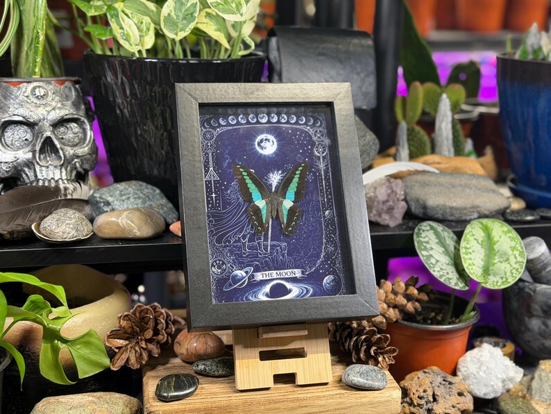 Puede incluir: Una impresi&oacute;n enmarcada con una mariposa de alas turquesas y negras, sobre un fondo azul oscuro con ilustraciones celestiales. El marco negro est&aacute; sobre un peque&ntilde;o caballete de madera. El texto "THE MOON" es visible.
