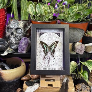 Puede incluir: Una obra de arte enmarcada con una mariposa de alas negras y turquesas, sobre un fondo blanco con dise&ntilde;os celestiales y geom&eacute;tricos. El texto "THE LOVERS" est&aacute; en la parte inferior. El marco es negro y la obra se exhibe sobre un soporte de madera.