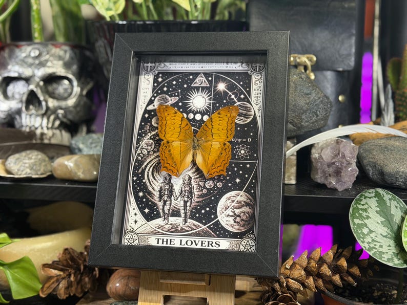 K&ouml;nnte beinhalten: Ein gerahmtes Kunstwerk mit einem konservierten orangefarbenen Schmetterling vor einem schwarz-wei&szlig;en Tarotkarten-Design. Die Karte zeigt zwei Figuren und Himmelselemente mit dem Text "THE LOVERS" unten. Der Rahmen ist schwarz.