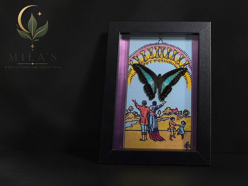 Puede incluir: Una obra de arte enmarcada con una mariposa negra y azul verdoso montada sobre una ilustraci&oacute;n de la carta del tarot del Diez de Copas. La imagen muestra a una familia mirando hacia un arco&iacute;ris de diez copas doradas en un cielo azul, dentro de un marco negro.