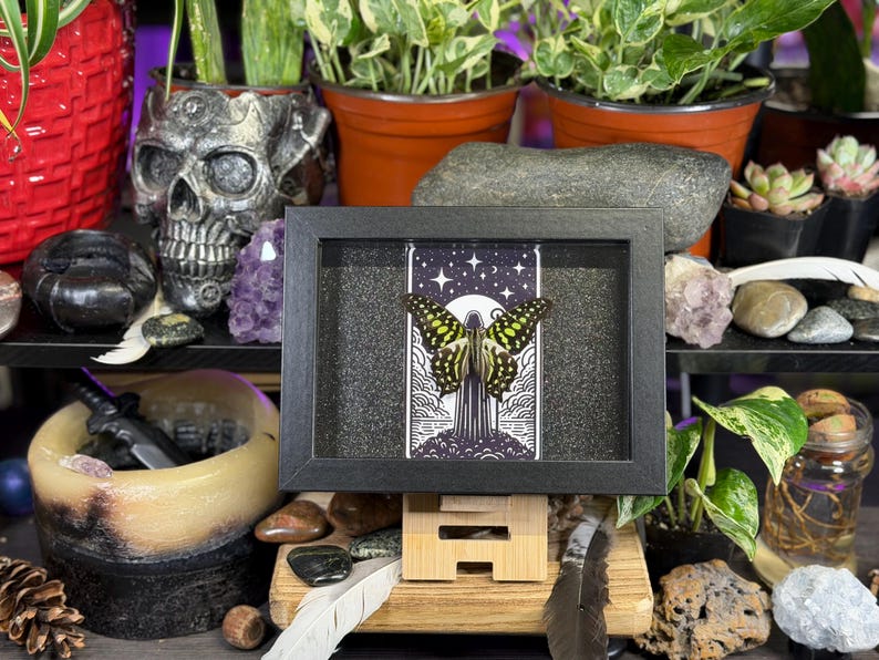 May include: A framed artwork depicting a butterfly with yellow and black wings against a starry night sky. The black-framed piece is displayed on a wooden stand. The background includes plants, crystals, and decorative items.
