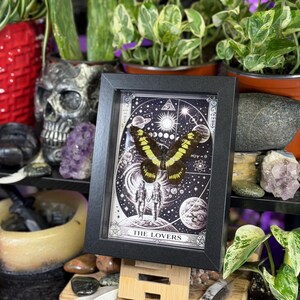 Puede incluir: Una obra de arte enmarcada con una mariposa de alas amarillas y negras, sobre un fondo celestial con las palabras "THE LOVERS". La obra est&aacute; en un marco negro, expuesta en una estanter&iacute;a con plantas y objetos decorativos.
