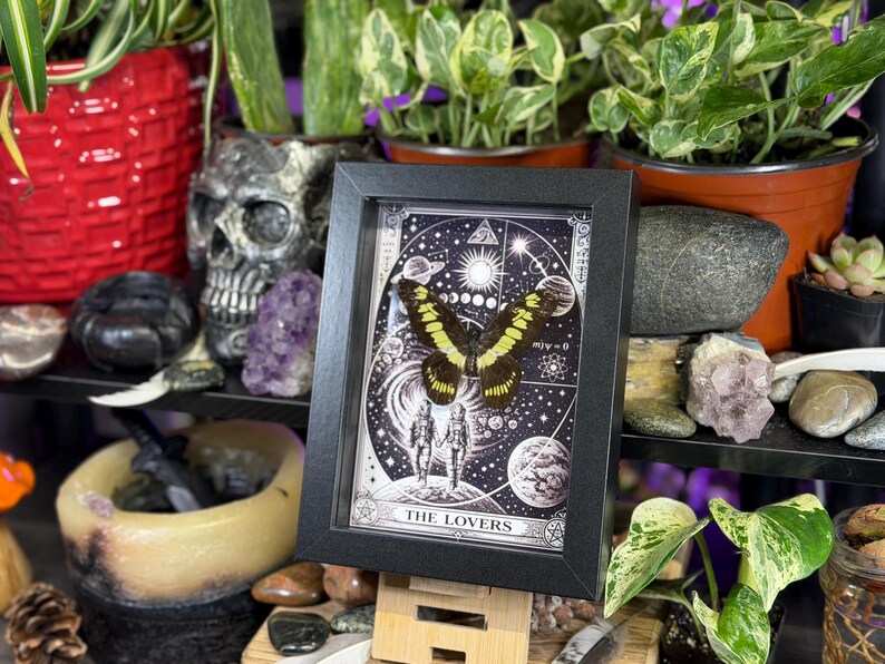 Puede incluir: Una obra de arte enmarcada con una mariposa de alas amarillas y negras, sobre un fondo celestial con las palabras "THE LOVERS". La obra est&aacute; en un marco negro, expuesta en una estanter&iacute;a con plantas y objetos decorativos.