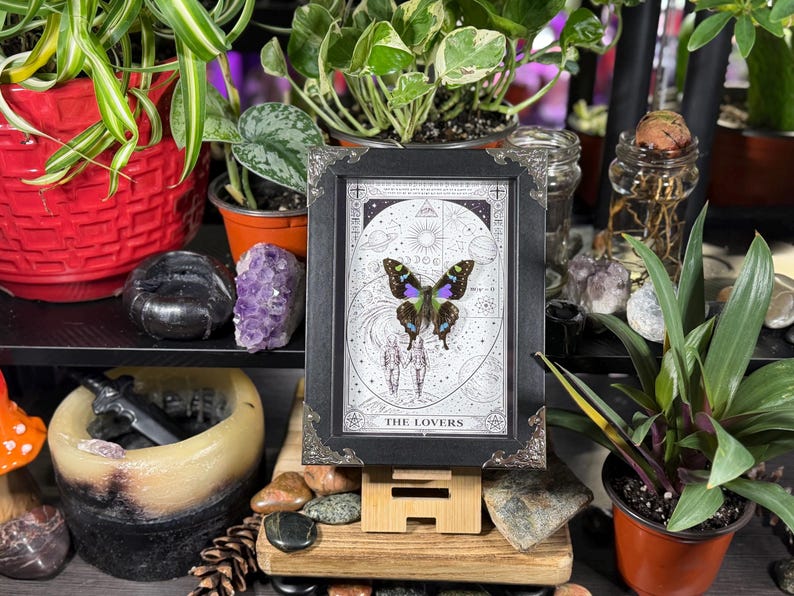 K&ouml;nnte beinhalten: Ein gerahmtes Kunstwerk mit einem Schmetterling mit lila und blauen Fl&uuml;geln, vor einer schwarz-wei&szlig;en Tarotkartenillustration. Der Rahmen ist schwarz mit dekorativen Ecken. Die Karte lautet "THE LOVERS".
