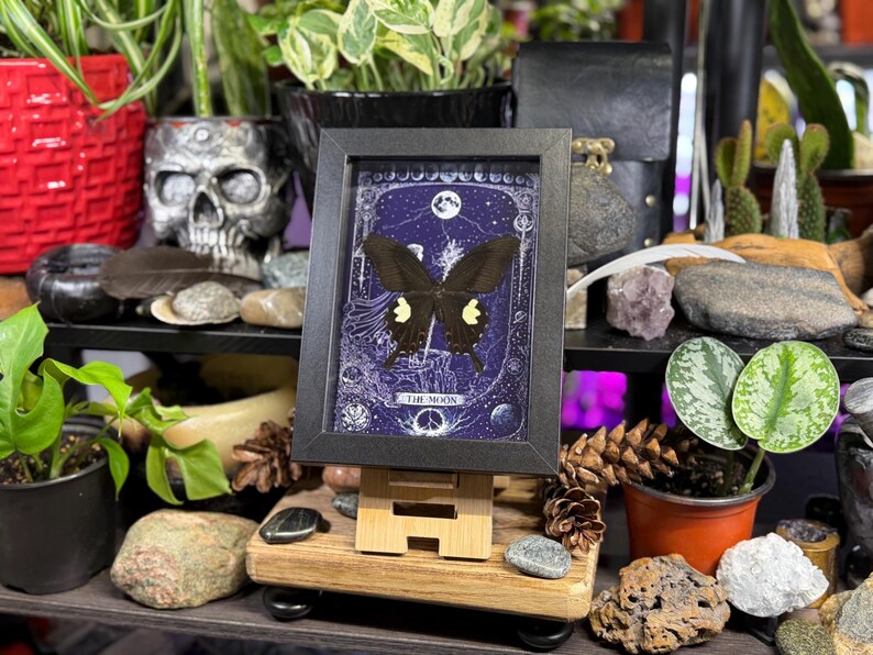 May include: A framed print featuring a black butterfly with yellow markings, set against a dark blue background with celestial imagery. The frame is black, and the print is displayed on a small wooden easel. The text "THE MOON" is visible.