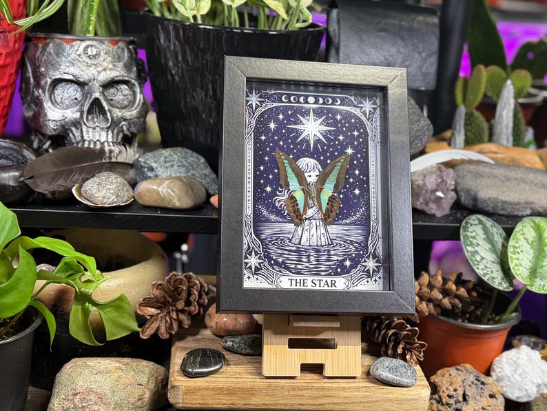 Op de afbeelding: Een ingelijste tarotkaartafdruk van "The Star" met een figuur met vlindervleugels tegen een sterrenhemel. De zwarte lijst staat op een houten standaard, omringd door planten en decoratieve items.