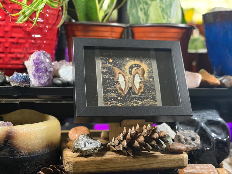 May include: A framed butterfly art piece with a black frame. The artwork features a butterfly with brown and white wings against a background of stars and a golden sun. The frame is displayed on a wooden stand with a pinecone and rocks.