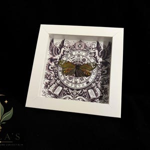 May include: A square white shadow box frame containing a preserved butterfly with dark green and orange wings. The background features a black and white circular zodiac-style illustration with winged horses and open books at the bottom corners.