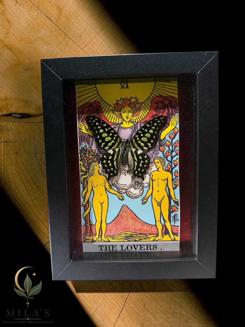 May include: A black rectangular shadow box frame containing a tarot card titled THE LOVERS with the Roman numeral VI. A large, dark butterfly with light green spots is mounted over the centre of the card, which depicts two figures.
