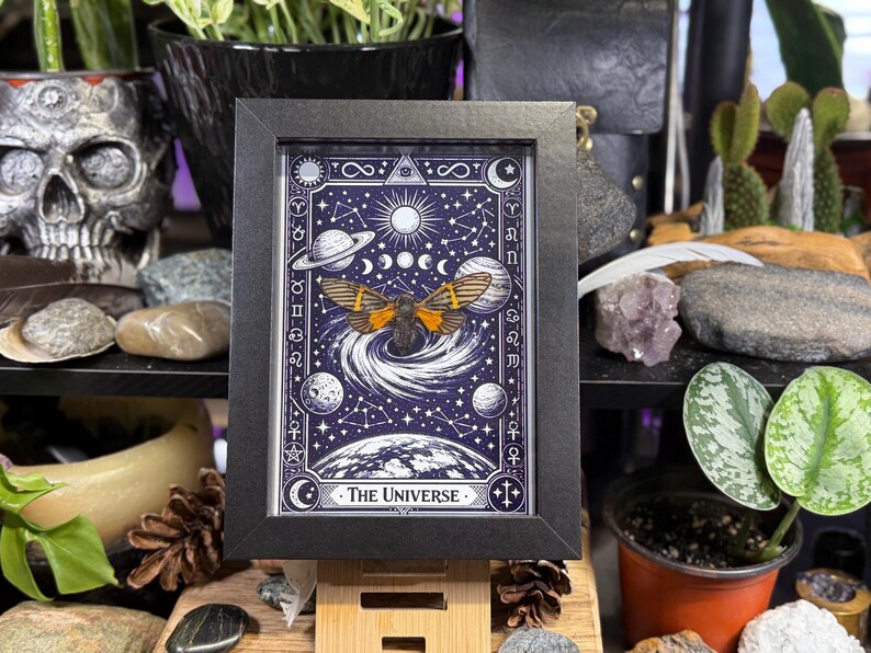 K&ouml;nnte beinhalten: Ein gerahmter Druck mit einem Himmelsdesign und einer Mottenillustration. Das Kunstwerk ist vor einem dunkelblauen Hintergrund mit wei&szlig;en Sternen, Planeten und dem Text "The Universe" platziert. Der Rahmen ist schwarz.