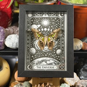 May include: A framed artwork featuring a butterfly specimen with brown and green wings, set against a black and white celestial background. The artwork includes the text "The Universe" and is encased in a black frame.