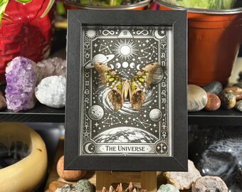 Framed Butterfly Green Tailed Jay "The Universe" Custom Tarot Gothic Wall Art - Graphium Agamemnon