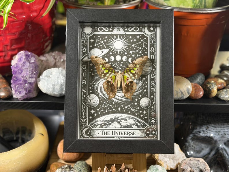 May include: A framed artwork featuring a butterfly specimen with brown and green wings, set against a black and white celestial background. The artwork includes the text "The Universe" and is encased in a black frame.