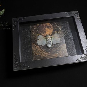 White Ghost Cicada Framed Art, Full Moon Shadow Box, Ornate Gothic Decor, 5x7 image 4