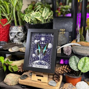 Blue Bottleneck “The Hermit Celestial Wanderer” Framed Specimen Art | Graphium sarpedon Tarot Decor bild 4