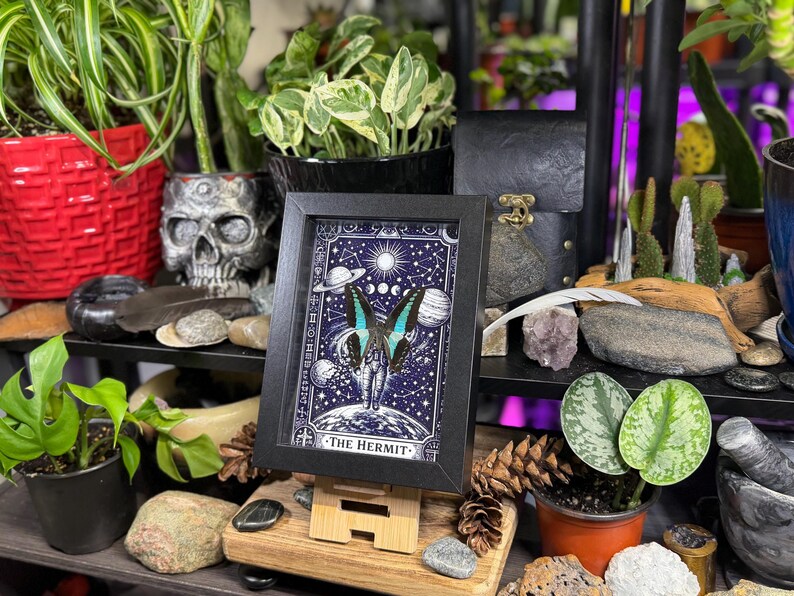 Blue Bottleneck “The Hermit Celestial Wanderer” Framed Specimen Art | Graphium sarpedon Tarot Decor bild 4