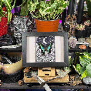 May include: A framed art print featuring a butterfly with teal and black wings against a night sky backdrop. The artwork is in a black frame and is displayed on a wooden stand. The image is surrounded by plants and decorative items.
