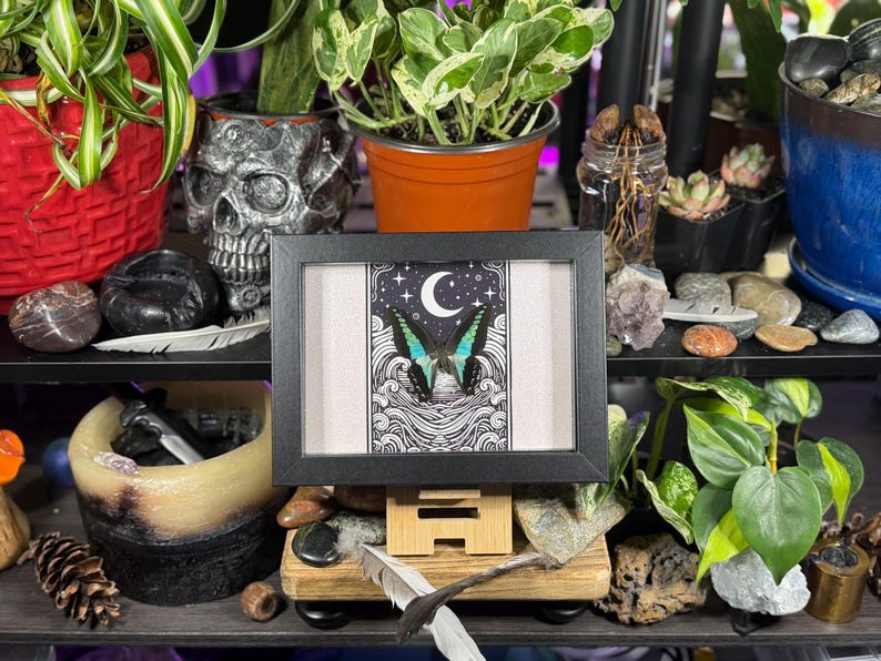 May include: A framed art print featuring a butterfly with teal and black wings against a night sky backdrop. The artwork is in a black frame and is displayed on a wooden stand. The image is surrounded by plants and decorative items.