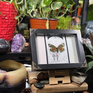 May include: A framed butterfly artwork with orange, black, and white patterns. The frame is black with decorative corners. The artwork is displayed on a wooden stand. The background includes plants and crystals.