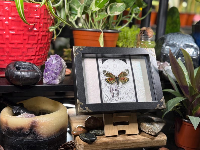 May include: A framed butterfly artwork with orange, black, and white patterns. The frame is black with decorative corners. The artwork is displayed on a wooden stand. The background includes plants and crystals.