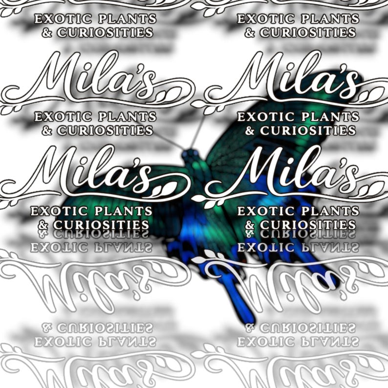 May include: A digital image of a butterfly with blue and green wings. The butterfly is the focal point, with the name "Mila's" in a decorative font above it. The words "EXOTIC PLANTS & CURIOSITIES" are repeated around the butterfly.