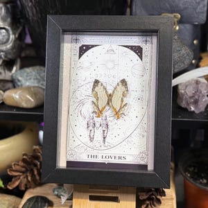 May include: A framed artwork featuring a butterfly with tan and brown wings, set against a celestial background with the words "THE LOVERS." The black frame is displayed on a wooden stand, with a skull and plants in the background.