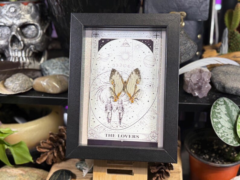 May include: A framed artwork featuring a butterfly with tan and brown wings, set against a celestial background with the words "THE LOVERS." The black frame is displayed on a wooden stand, with a skull and plants in the background.