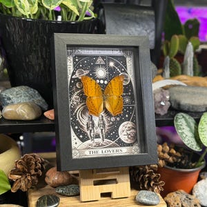 K&ouml;nnte beinhalten: Gerahmtes Kunstwerk mit einem schwarzen Rahmen, das einen Schmetterling mit orangefarbenen Fl&uuml;geln vor einem schwarz-wei&szlig;en Himmelsdesign zeigt. Das Kunstwerk wird auf einer Holzstaffelei pr&auml;sentiert. Der Text "THE LOVERS" ist unten sichtbar.
