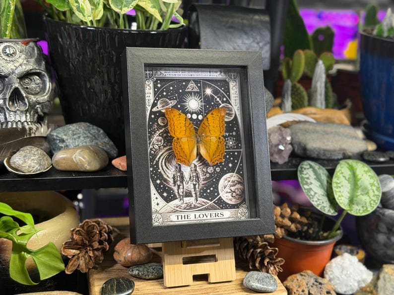 K&ouml;nnte beinhalten: Gerahmtes Kunstwerk mit einem schwarzen Rahmen, das einen Schmetterling mit orangefarbenen Fl&uuml;geln vor einem schwarz-wei&szlig;en Himmelsdesign zeigt. Das Kunstwerk wird auf einer Holzstaffelei pr&auml;sentiert. Der Text "THE LOVERS" ist unten sichtbar.