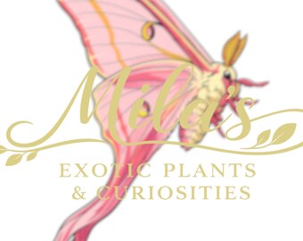 May include: A logo featuring a stylized pink and red moth with yellow accents. The text "Mila's" is in a cursive font, with "EXOTIC PLANTS & CURIOSITIES" below. The design includes a gold floral element.