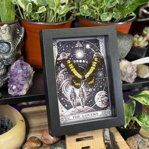 Puede incluir: Una impresi&oacute;n enmarcada de una mariposa con alas amarillas y negras, sobre un fondo celestial con la inscripci&oacute;n "THE LOVERS". El marco negro se exhibe sobre un soporte de madera, rodeado de plantas, cristales y objetos decorativos.