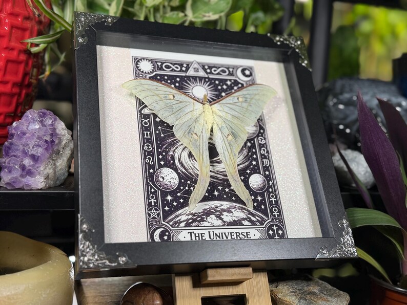 Puede incluir: Una obra de arte enmarcada con una polilla de color amarillo p&aacute;lido con alas largas y onduladas, centrada en una ilustraci&oacute;n en blanco y negro del universo. El marco es negro con detalles decorativos plateados en las esquinas. El texto "THE UNIVERSE" est&aacute; en la parte inferior.