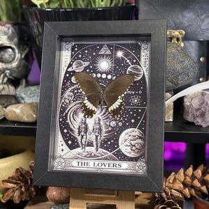 Puede incluir: Una impresi&oacute;n en blanco y negro enmarcada que presenta una mariposa y elementos c&oacute;smicos. La impresi&oacute;n incluye las palabras "THE LOVERS". La mariposa es marr&oacute;n con marcas blancas. El marco es negro.
