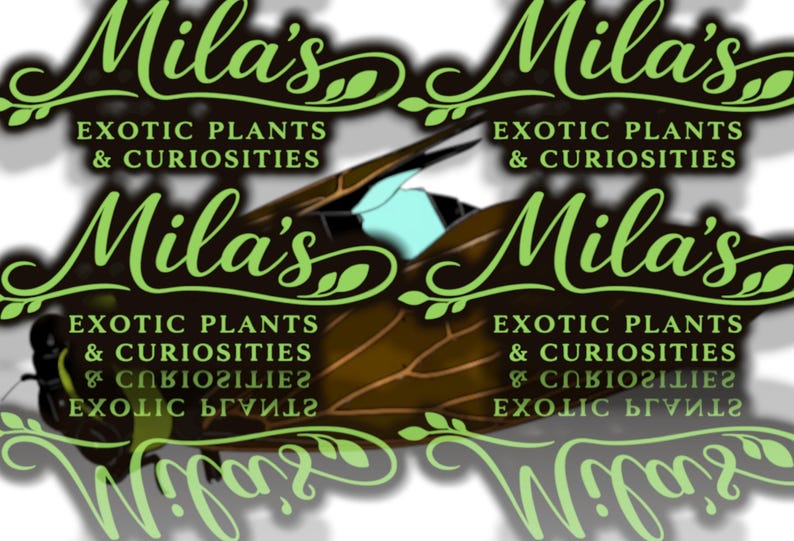 May include: Image features the text "Mila's Exotic Plants & Curiosities" in a stylized green font. A brown insect with blue accents is in the center. The design is repeated multiple times with a blurred effect.