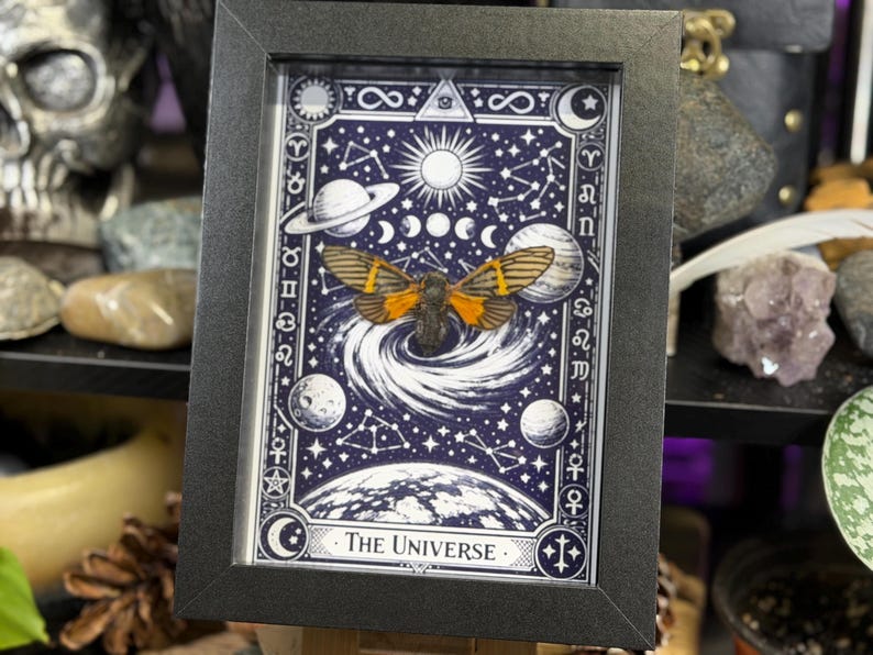 K&ouml;nnte beinhalten: Gerahmtes Kunstwerk mit einem himmlischen Design, das eine Motte im Zentrum zeigt. Das Design hat einen dunkelblauen Hintergrund mit wei&szlig;en Sternen, Planeten und der Sonne. Der Text "The Universe" steht unten. Der Rahmen ist schwarz.
